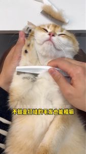 หวีสางเหา 22CM หวีหมัดแมว หวีแปรงขนสัตว์เลี้ยง 2 สี หนังสือ ไม่คม ไม่ทำร้ายผิว