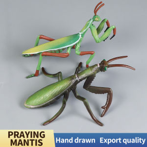 Insect Animals Model Figurines Miniature Mantis Action Figures Decor Kids Education Toy