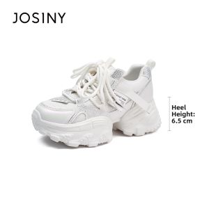Josiny | Platform Silver Mesh Thick Sole Sneakers