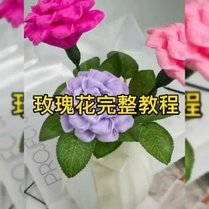 5Pcs 50*250CM Crepe Paper Thickened Pleated Paper Rolls for DIY Paper Flower Crafts Gift Wrapping