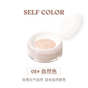 Long-Lasting Lightweight Blurring Matte Finish Waterproof Sweatproof No-Transfer Setting Powder Compact Powder Translucent Powder