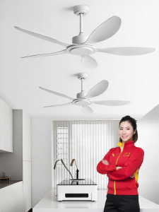HUANGJIANG | Large Wind Quiet Modern Simple Ceiling Fan 56 Inch
