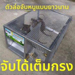 YUYOU | Automatic Double-Entrance Mouse Trap