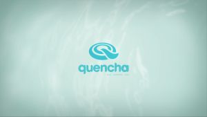 Quencha 19oz 37oz Insulated Tumbler Strap Silicone Boot Double Wall BPA-Free Stainless 24Hr Cold