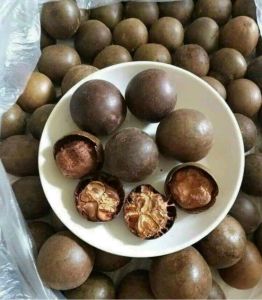 Quả la hán khô - túi zip 250gr 500gr - từ 14 đến 15 quả