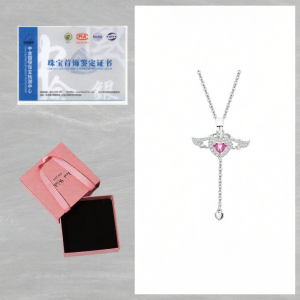 QMSV | Angel Wing Light Luxury Sterling Silver Choker Necklace