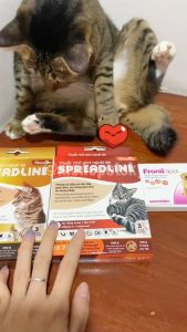 Lẻ 1 ống Nhỏ gáy Fronil Spot và Spreadline trị ve rận bọ chét cho thú cưng