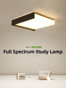 Full Spectrum Eye Protection Ceiling Light