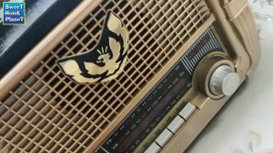 Golden Retro Bluetooth Radio Rechargeable FM AM SW 3 Band DSP Radio with USB TF MP3 Player