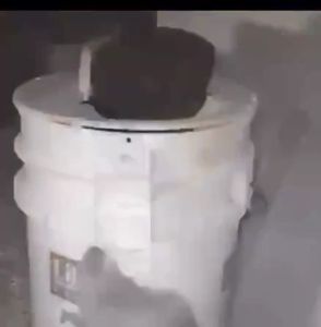 🔥2024 new🔥 Mouse trap Cat shape double hole automatic flip recovery universal safe and non-toxic suitable for indoors kitchens reuse Catch 30 in 1 night Mouse bucket trap Mouse catcher trap Rat killer Smart mouse trap