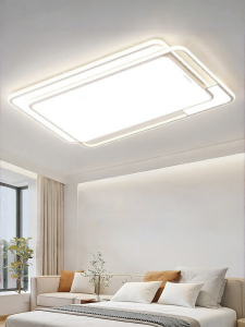 Changhong | New Hall Ceiling Light Modern Minimalist