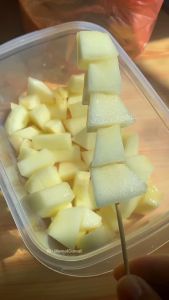 Benih Blewah Unggul 10 gram YESSI Cap PRIMA Produksi Tinggi Manis Harum