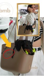 BMBvogue EVA Pet bag carrier for   Dogs and Cats Premium quality Water proof Shoulder detachable pet friendly Chihuahua Carrier Shi Tzu Carrier Small dog Bag carrier Ferplast Inspired BMBvogue Pet Dog Bag Cat Carrier 7 kilos Pomeranian Waterproof pet bag