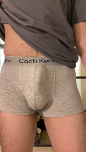 4IN1 Cacti Keno Cotton Boxer for Men Fashion Elastic Boxer Breathable Underwear Mens Briefs Plus Size 3XL 4XL 5XL