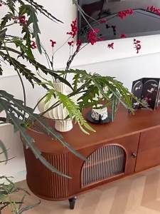 Retro Antique Style French and American TV Cabinet