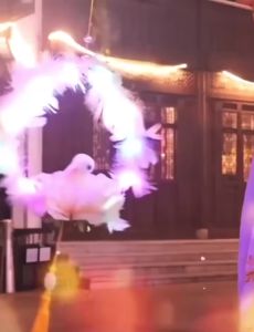 Lồng Đèn Cổ Phong LED Lông Vũ Hoa Sen Thỏ Ngọc – Đèn Trung Thu Cầm Tay Chụp Ảnh Cosplay Hanfu