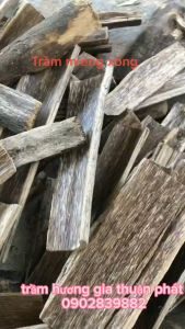 Trầm Hương Miếng Tự Nhiên 50gr Loại Đặc biệt  (Giác Trầm Hương )- Xông phòng xông nhà làm thơm tẩy uế  xua đuổi tà khí