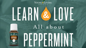 Young living Peppermint/Lavender Essential Oil 15ML helps to sleep relieve pressure and cool the brain