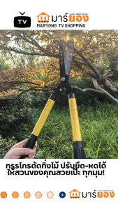 กรรไกรตัดกิ่งไม้ กรรไกรตัดหญ้า ดีไซน์ปากนก ทำจากเหล็กคาร์บอนสูง ปรับยึด-หดได้ ตัดแต่งกิ่งไม้ ตัดหญ้า #ร้านมาร์ยอง