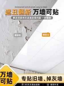 Easy Install Self Adhesive Bathroom Ceiling Wall Paper Decorative Sticker Kitchen Roof Cover up Modern Minimalist Style PVC