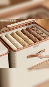 Flap Top Oxford Fabric Clothing Organizer