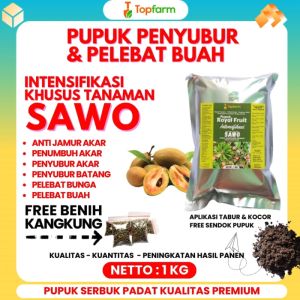 Pupuk Buah Sawo: Pilihan Terbaik & Cara Menggunakannya