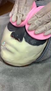 ฟองน้ำเช็ดหน้า ฟองน้ำล้างหน้า ฟองน้ำทำความสะอาดผิวหน้าตามร้านเสริมสวย เนื้อไม่บาดผิว ฟองน้ำนุ่ม