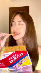 Nissin Biskuit Crackers 250 gr