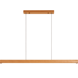 DGY | Zen Decorative Dining Room Ceiling Light
