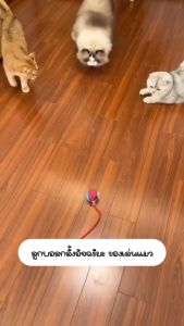 ของเล่นแมวโต้ตอบ Ball ลูกบอลกลิ้งไฟฟ้าอัตโนมัติของเล่นสําหรับแมว/คิตตี้สัตว์เลี้ยงสมาร์ทชาเซอร์อัตโนมัติ USB ชาร์จ LP