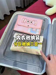 HALEXIONG | Portable Travel Lingerie Organizer Bags