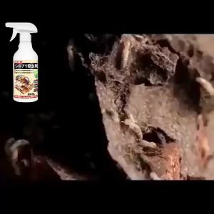 termite expert ANKYO Termite spray killing termites Anay termit killer for wood Termite killer spray Dedicated to termite eradication for 30 years Termite killer Anay killer spray