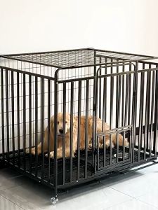 Dog Cage Square Tube Pet Cage for Dog Large Size Dog House Pet Cage Square Tube Large Dog Cat Cage with Poop Tray
