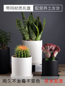 Nordic Minimalist Luxury Matte Ceramic Tray Succulent Plant Tiger Tail Orchid White Household Flower Pot European Style Flower Vase