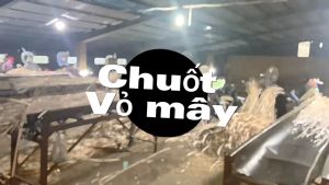 VỎ MÂY CHÀ TINH 1 LẦN- 2 LẦN 6-7 MM- LẠT MÂY CHÀ QUẤN BÀN GHẾ ĐAN HÀNG THỦ CÔNG MỸ NGHỆ