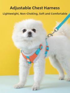 Petone dOrage | High Fashion Medium Small Dog Leash