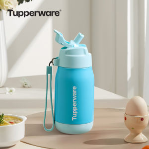 Tupperware | Thermal Stainless Steel Straw Cup 330ml