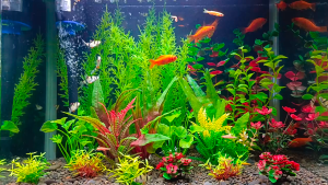 Aquarium Mini Plant Artificial Decoration Plastic Plant Fish Tank Pokok Hiasan Artificial Aquatic Plant Tree 仿真水草