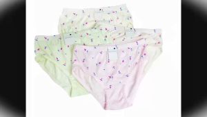 [4 PCS] Women Cotton Underwear/ Women Panties