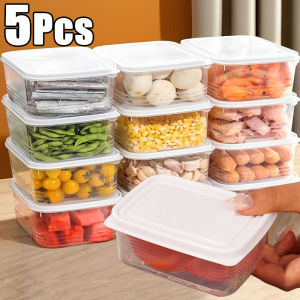 5Pcs Small Fresh-Keeping Frozen Meat Box / Food-Grade Classification Sealing Box / Fruit Vegetable Fish Fresh Storage Box
