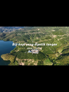 Fresh Rostaed！100%Arabica YUNAN Single Origin coffee beans medium roast coffee Beans Dark Cocoa Caramel almond Hali Coffee lanli 1000g kopi 咖啡豆