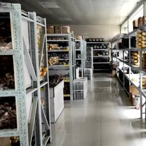 Customized Far Infrared Quartz Heating Tubes: A Comprehensive Guide