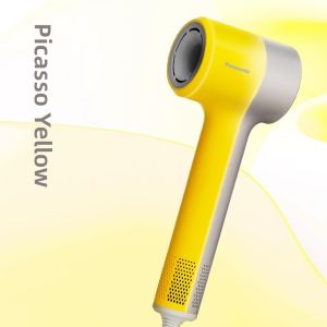 Panasonic | High Speed Low Noise Ionic Hair Care Hair Dryer