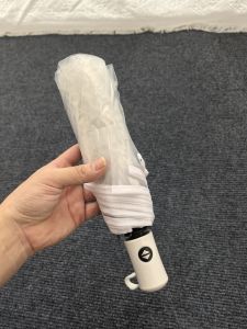 Besee | Cute Transparent Street Snap Umbrella