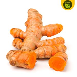 luyang dilaw herb and spice 1 pc. bulb turmeric