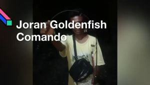 Rod Golden Fish Comando