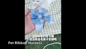 TRENY Pet Dog Leash small Large Puppy Dog Leash Recall Training Tracking Obedience Long Lead Easy to clean Rope