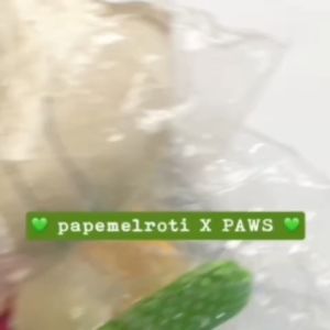 Papemelroti PAWS Kinder Stuffed Toys and Plushie Pillows