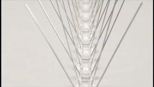 Anti Pigeon Nail Bird Deterrent Tool Bird Repellent Spikes Eco-friendly