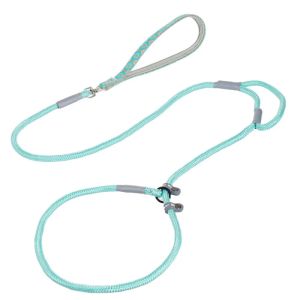 Nylon Slip Lead Dog Slip Leash and Collar Dog Training Leash with Double Handle Heavy Duty Dog Lead No Pull Puppy Walking Leash